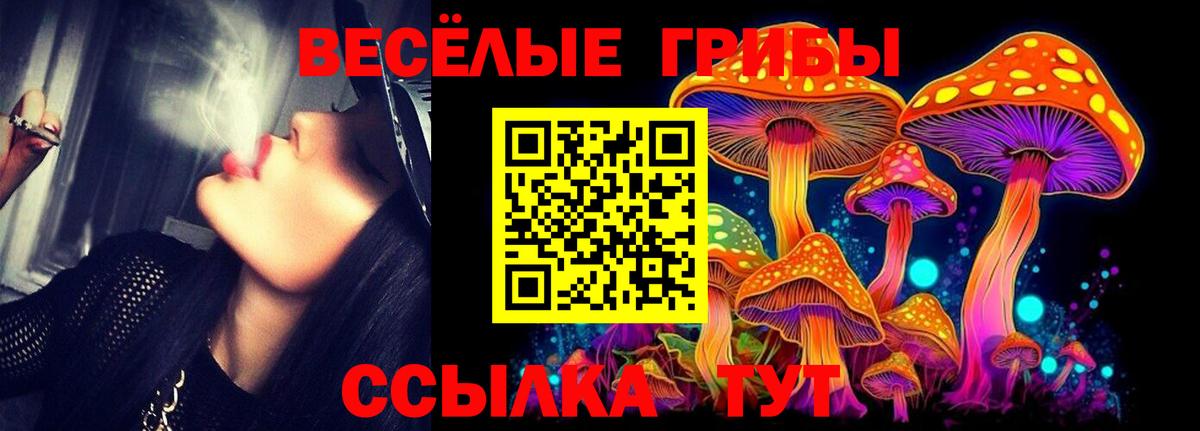 где найти наркотики  Псилоцибиновые грибы MAGIC MUSHROOMS  Вход с VPN  Боровичи 