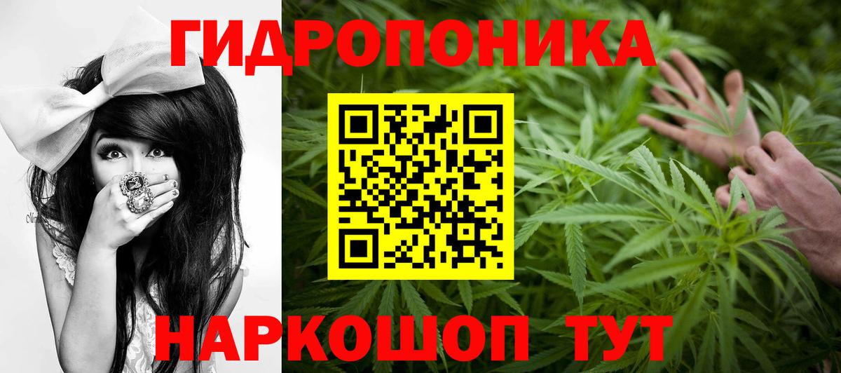 Каннабис THC 21%  Каннабис индика  Вход с VPN  Боровичи  Шишки марихуана план  Каннабис Amnesia 